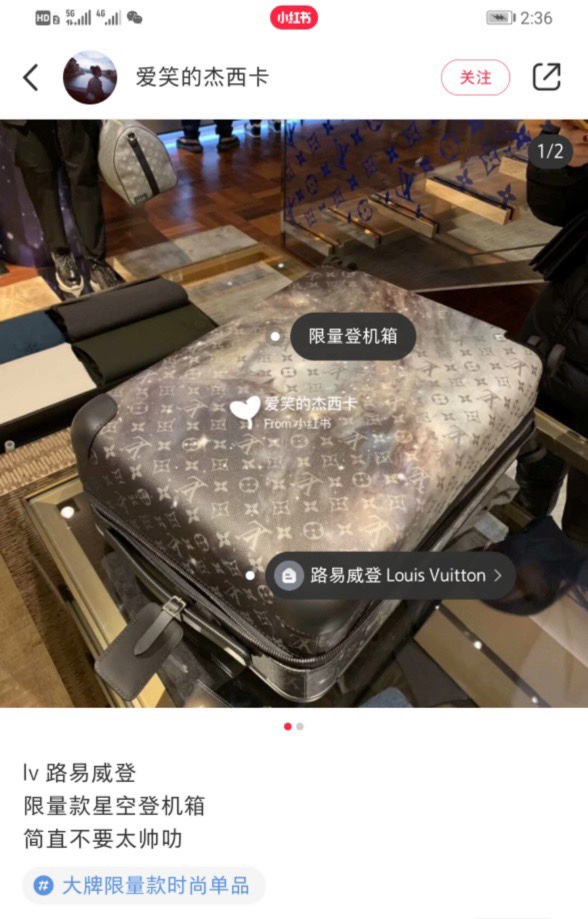 LV Suitcase